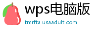 wps电脑版